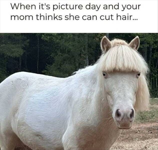 Daily Pictures. Part 2 (55 pics)