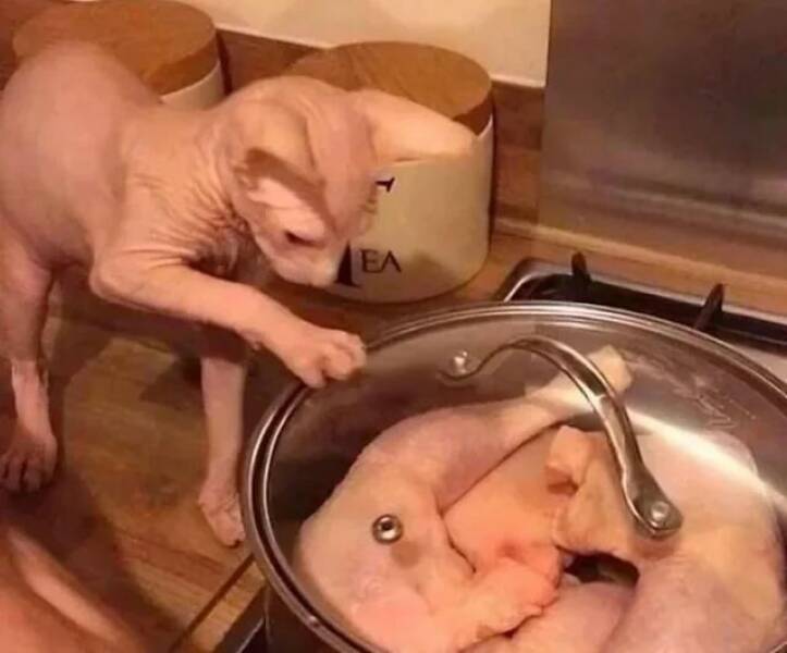 Daily Pictures. Part 1 (56 pics)