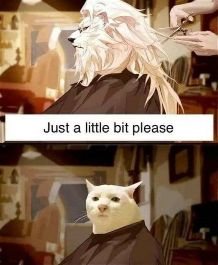 Daily Pictures. Part 2 (55 pics)