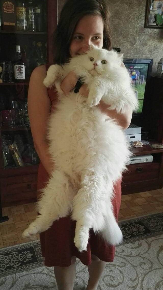 Giant Things (16 pics)