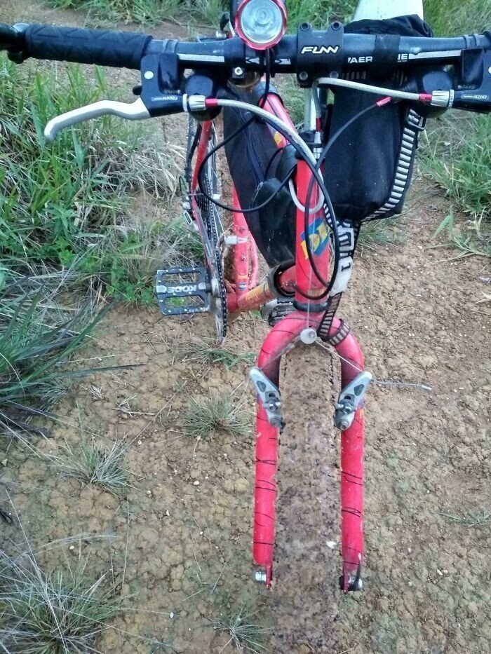 Look Twice (19 pics)