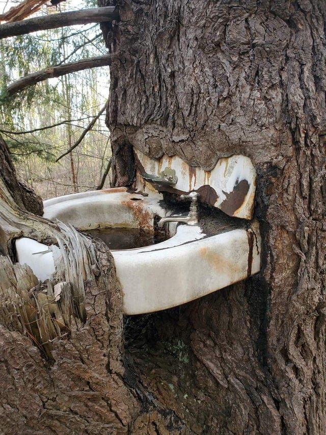 Power Of Nature (16 pics)