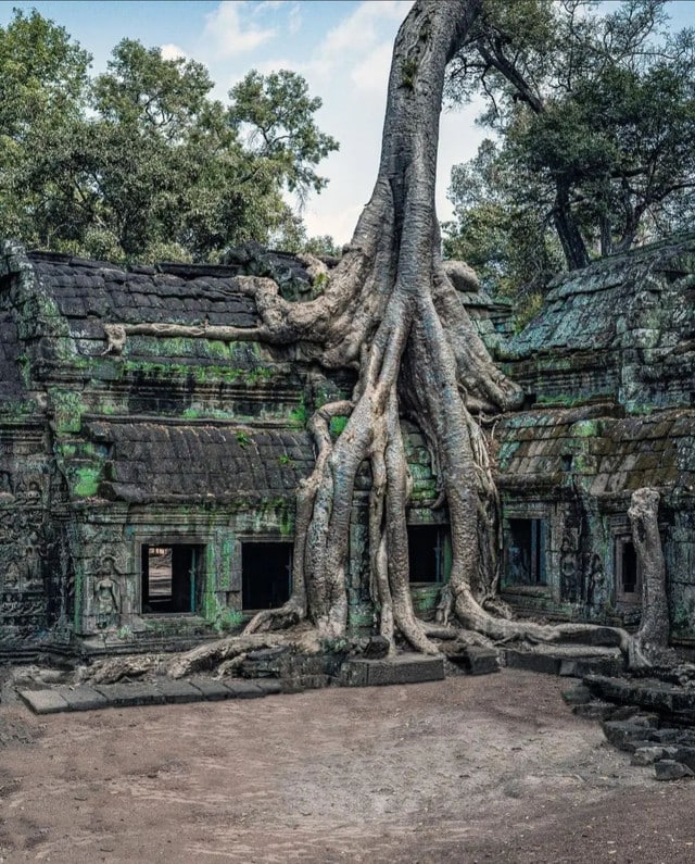 Power Of Nature (16 pics)