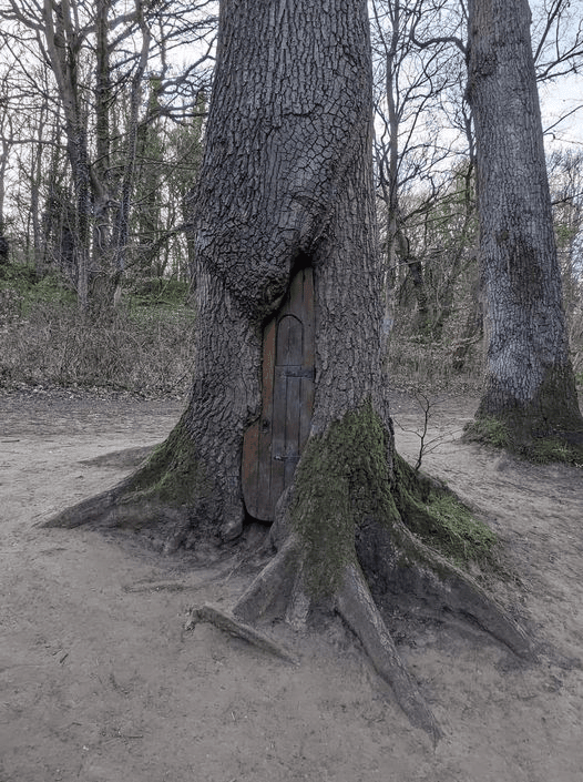 Power Of Nature (16 pics)