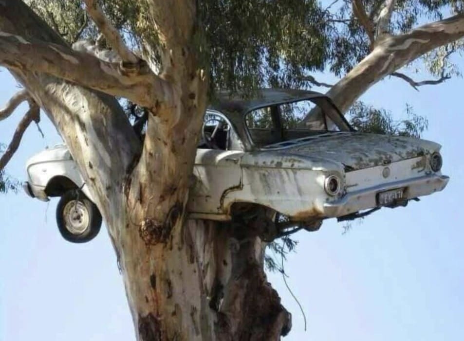 Power Of Nature (16 pics)