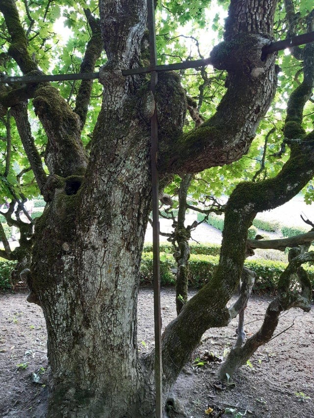 Power Of Nature (16 pics)