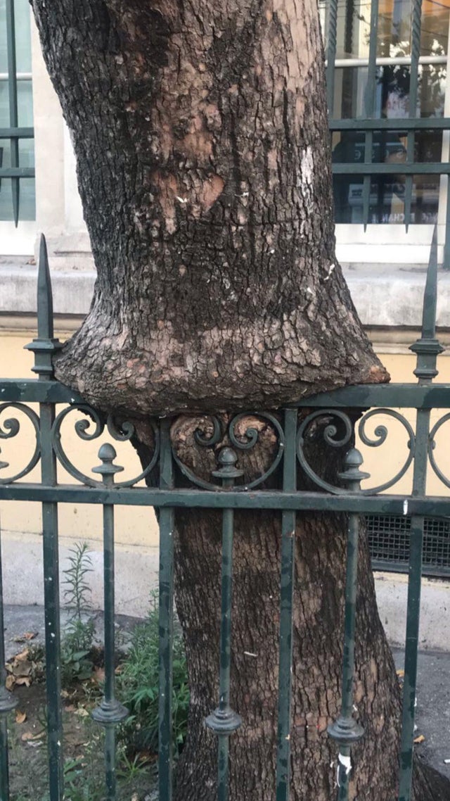 Power Of Nature (16 pics)