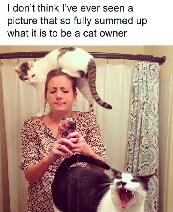 Daily Pictures. Part 2 (48 pics)