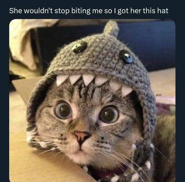 Daily Pictures. Part 2 (48 pics)