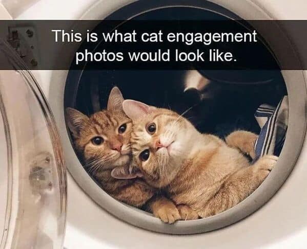 Daily Pictures. Part 2 (48 pics)