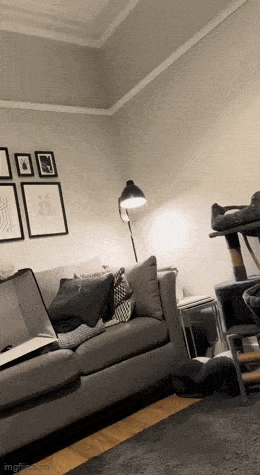 Acid GIFs, November 21 (25 gifs) Acid GIFs, November 21 (25 gifs)