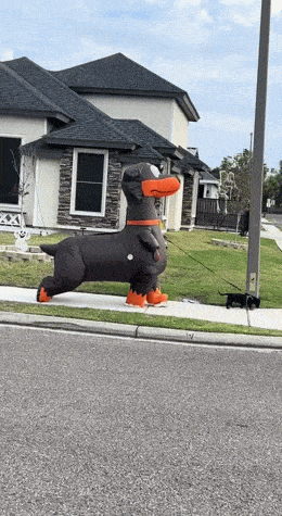 Acid GIFs, November 21 (25 gifs) Acid GIFs, November 21 (25 gifs)