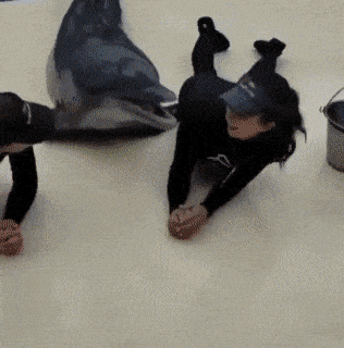 Acid GIFs, November 21 (25 gifs) Acid GIFs, November 21 (25 gifs)
