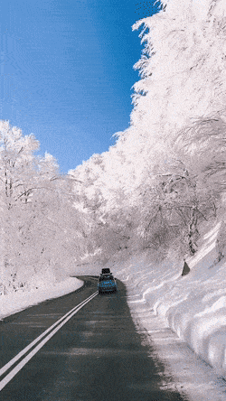 Acid GIFs, November 21 (25 gifs) Acid GIFs, November 21 (25 gifs)