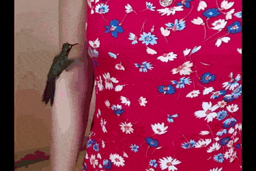 Acid GIFs, November 21 (25 gifs) Acid GIFs, November 21 (25 gifs)