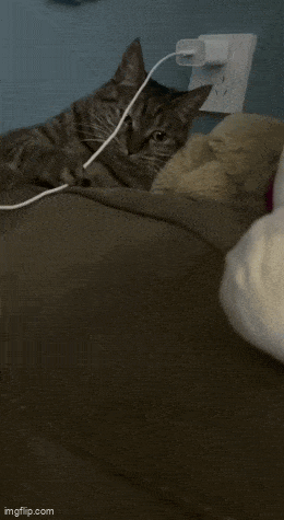 Acid GIFs, November 21 (25 gifs) Acid GIFs, November 21 (25 gifs)