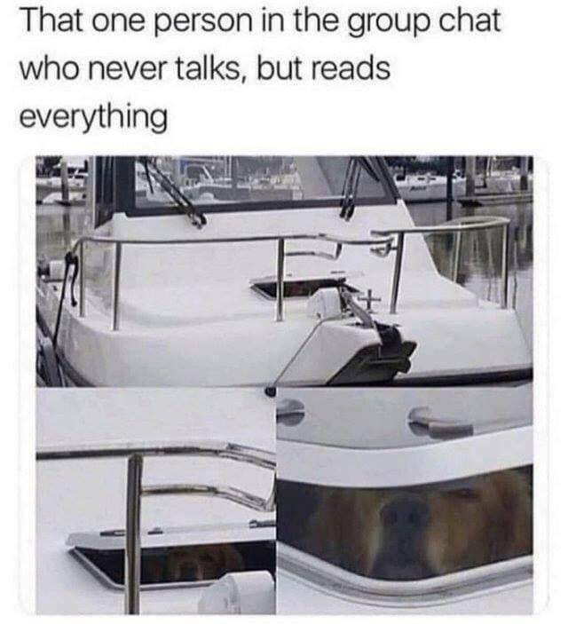 Daily Pictures. Part 2 (54 pics)