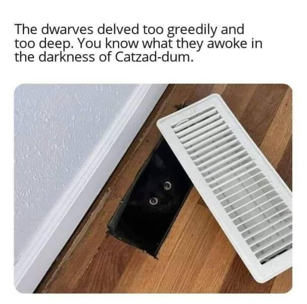 Daily Pictures. Part 2 (54 pics)