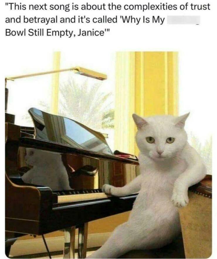 Daily Pictures. Part 2 (47 pics)