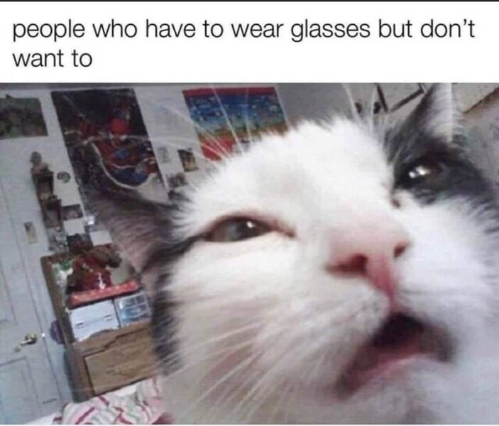 Daily Pictures. Part 2 (47 pics)