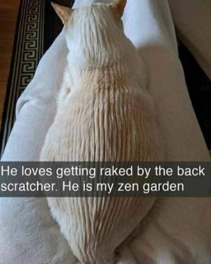 Daily Pictures. Part 1 (49 pics)