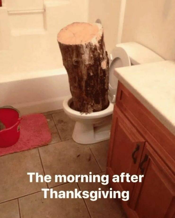 Daily Pictures. Part 1 (49 pics)