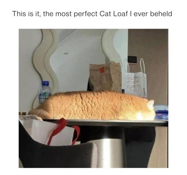 Daily Pictures. Part 2 (47 pics)
