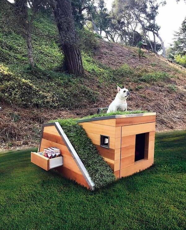 Unusual Designs And Finds (18 pics)