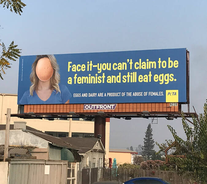 Failed Ads (19 pics)