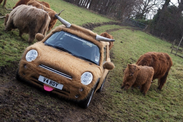Crazy Cars (22 pics)