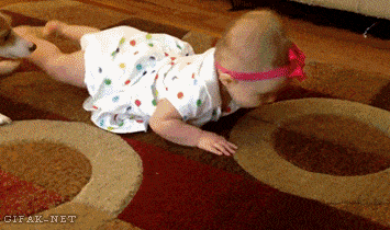 Acid GIFs, December 9 (25 gifs) Acid GIFs, December 9 (25 gifs)