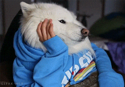 Acid GIFs, December 9 (25 gifs) Acid GIFs, December 9 (25 gifs)