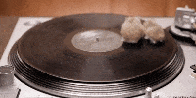 Acid GIFs, December 9 (25 gifs) Acid GIFs, December 9 (25 gifs)