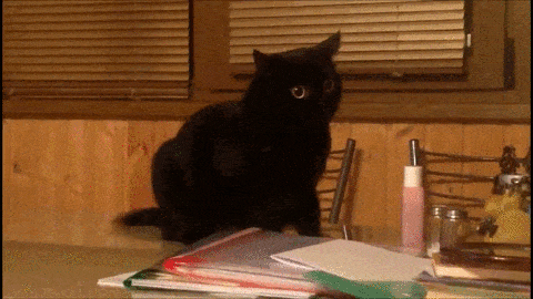 Acid GIFs, December 9 (25 gifs) Acid GIFs, December 9 (25 gifs)