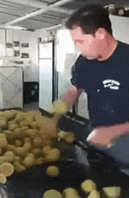 Acid GIFs, December 9 (25 gifs) Acid GIFs, December 9 (25 gifs)