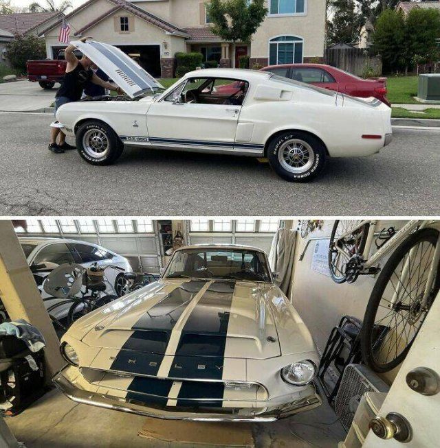 Cool And Unexpected Inheritance (25 pics)