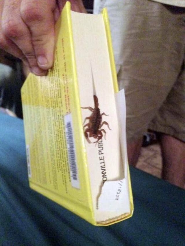 Scary Photos (21 pics)
