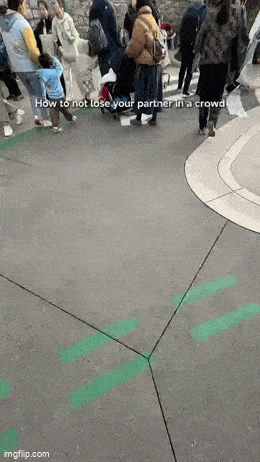 Acid GIFs, December 10 (25 gifs) Acid GIFs, December 10 (25 gifs)