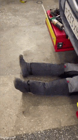 Acid GIFs, December 10 (25 gifs) Acid GIFs, December 10 (25 gifs)