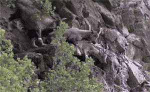 Acid GIFs, December 10 (25 gifs) Acid GIFs, December 10 (25 gifs)