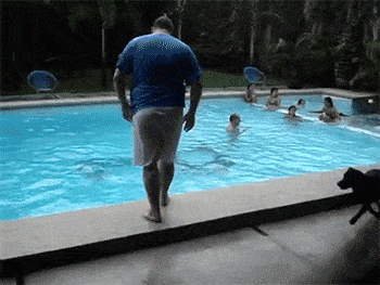 Acid GIFs, December 10 (25 gifs) Acid GIFs, December 10 (25 gifs)