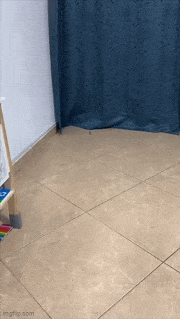 Acid GIFs, December 10 (25 gifs) Acid GIFs, December 10 (25 gifs)