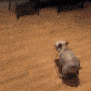 Acid GIFs, December 11 (25 gifs) Acid GIFs, December 11 (25 gifs)