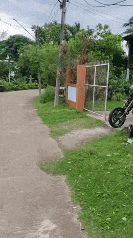 Acid GIFs, December 11 (25 gifs) Acid GIFs, December 11 (25 gifs)