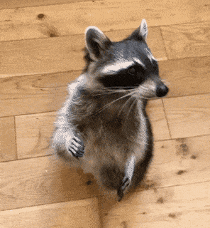 Acid GIFs, December 11 (25 gifs) Acid GIFs, December 11 (25 gifs)