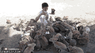 Acid GIFs, December 11 (25 gifs) Acid GIFs, December 11 (25 gifs)