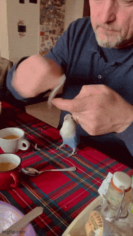 Acid GIFs, December 11 (25 gifs) Acid GIFs, December 11 (25 gifs)
