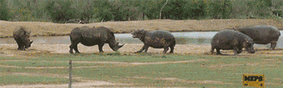 Acid GIFs, December 11 (25 gifs) Acid GIFs, December 11 (25 gifs)