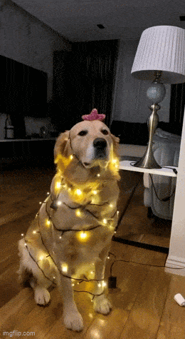 Acid GIFs, December 11 (25 gifs) Acid GIFs, December 11 (25 gifs)