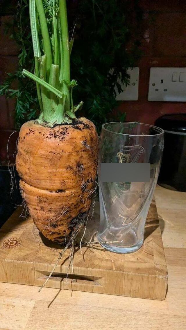 Giant Things (18 pics)